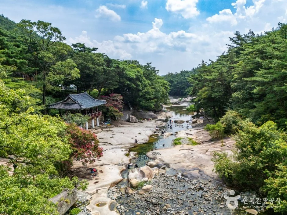 작괘천(작천정계곡) 반려동물 동반 여행지