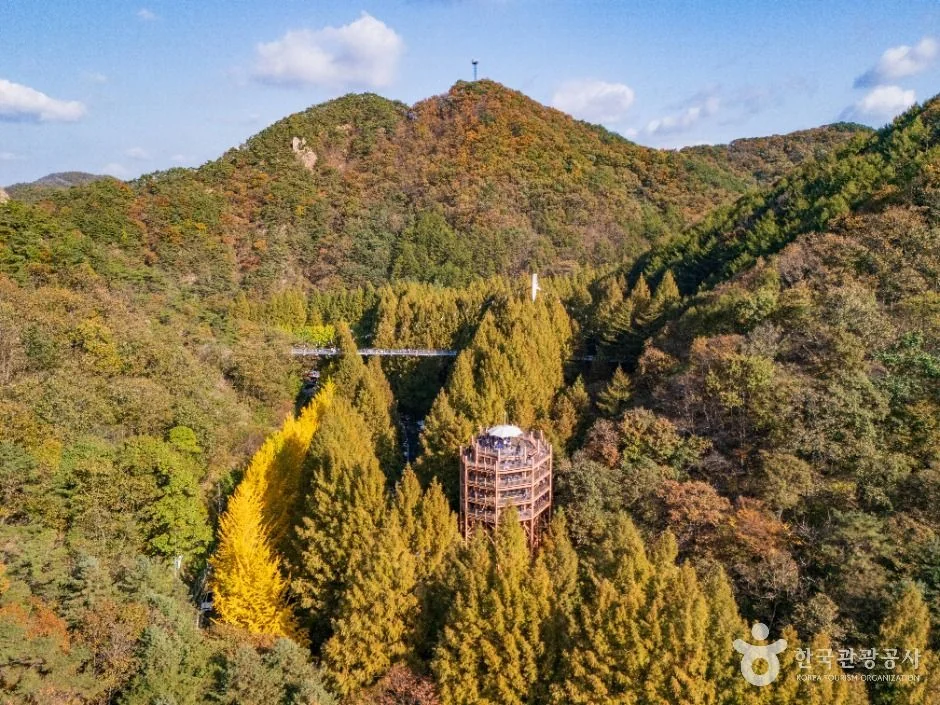 장태산자연휴양림 반려동물 동반 여행지