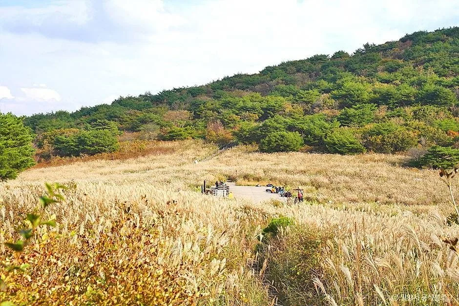 재약산 반려동물 동반 여행지