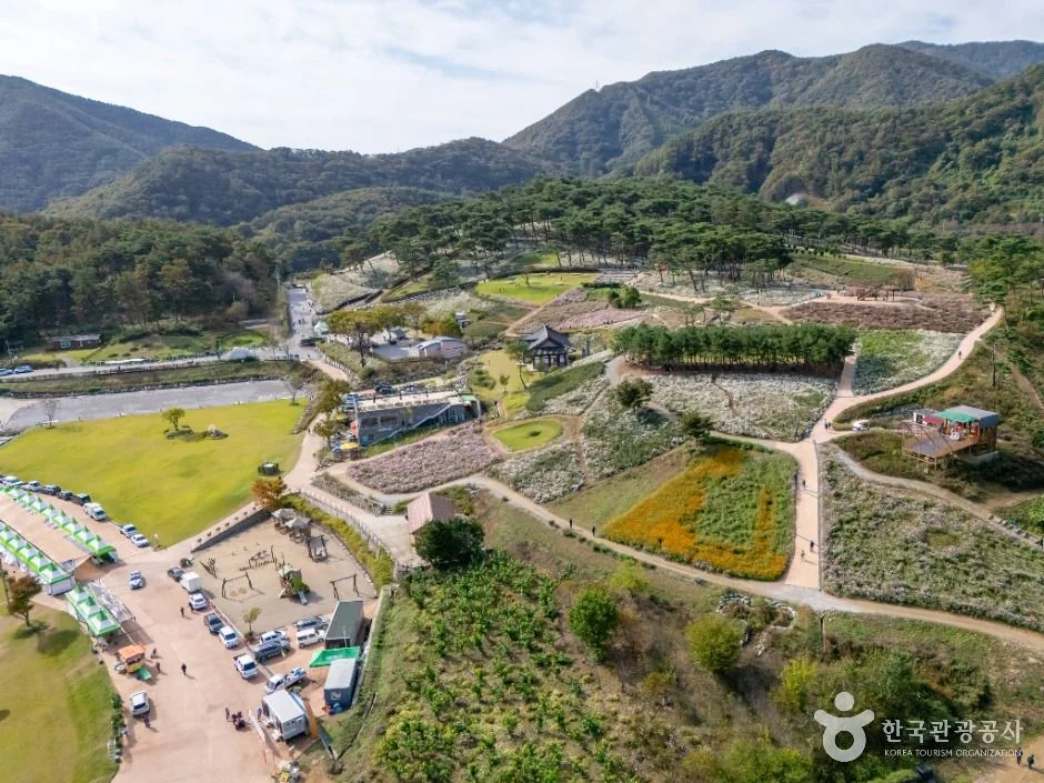 정읍 구절초 지방정원 반려동물 동반 여행지