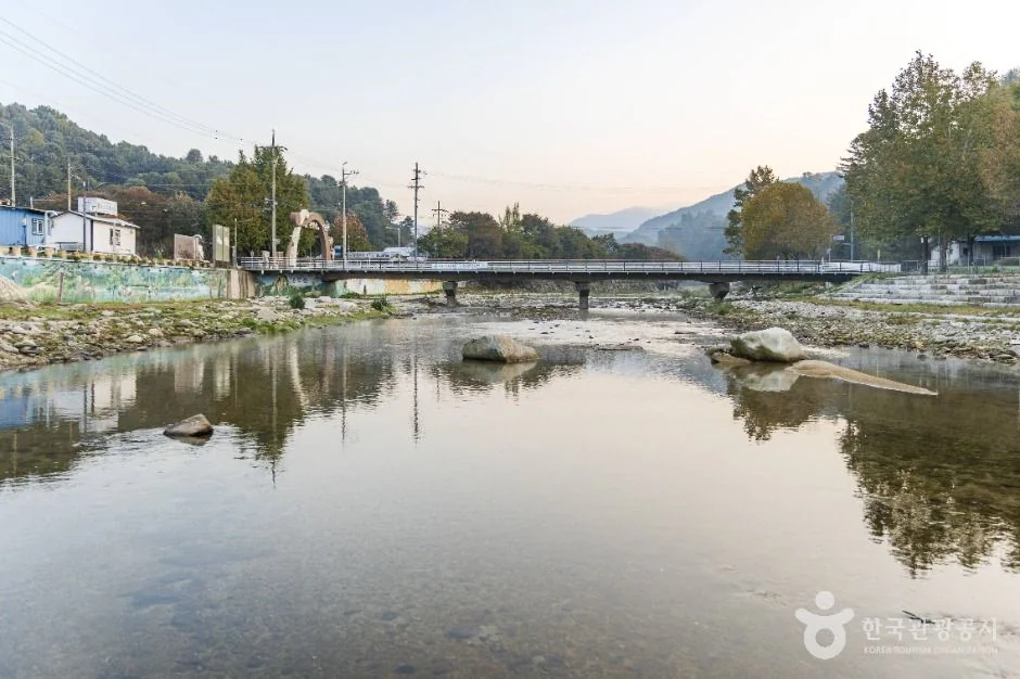 조종천계곡 반려동물 동반 여행지