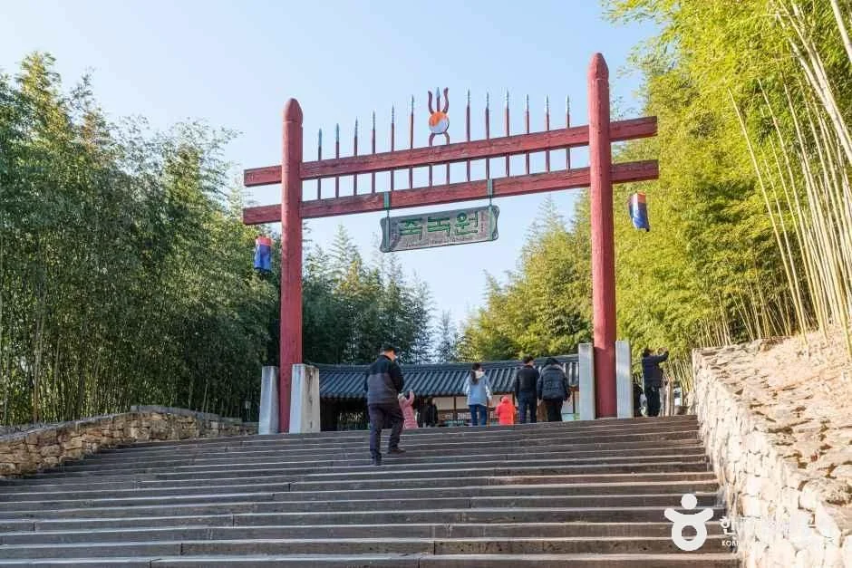 죽녹원 반려동물 동반 여행지