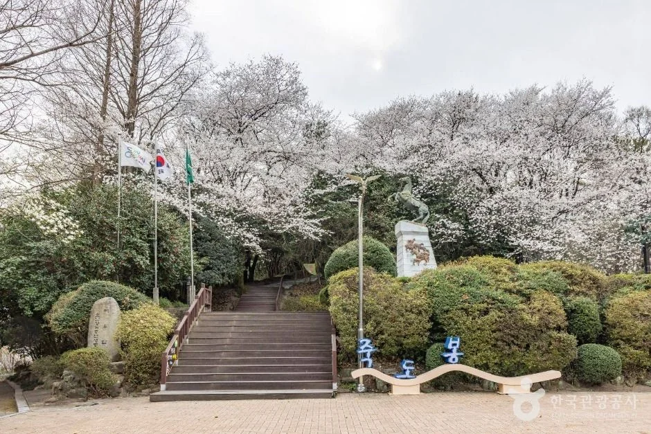 죽도봉공원 순천시 애견여행지