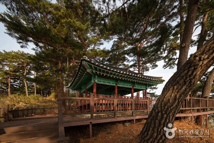 죽도정·죽도 전망대 반려동물 동반 여행지