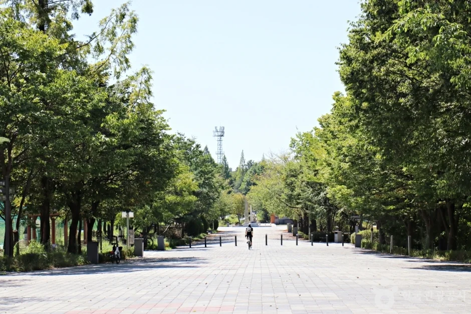 중앙체육공원 익산시 애견여행지