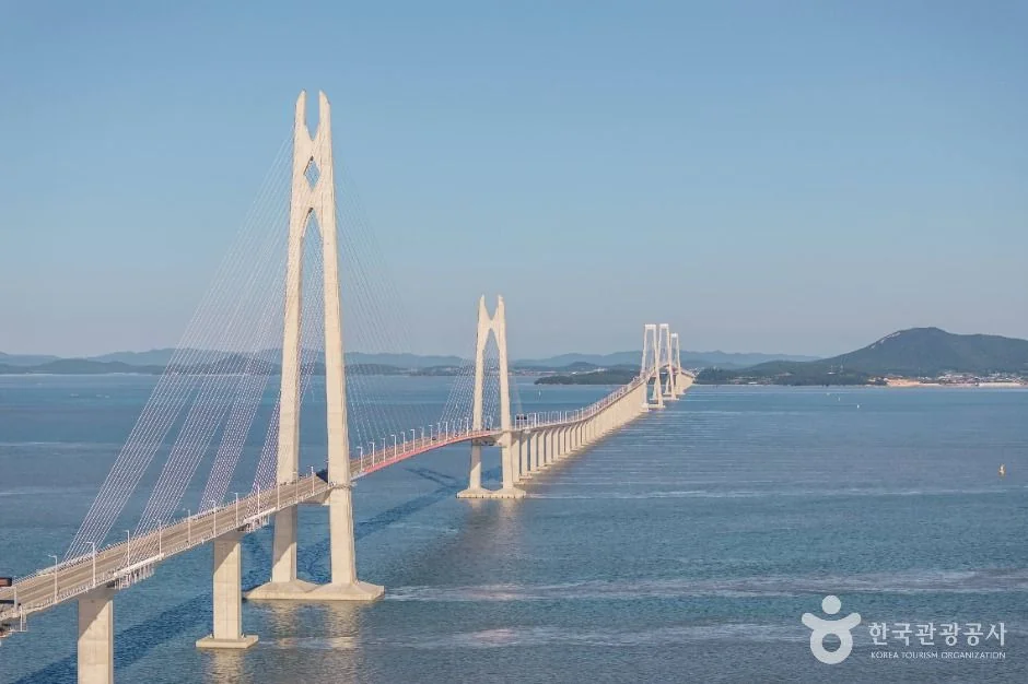 천사대교 신안군 애견여행지