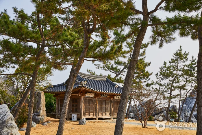 추암해변 반려동물 동반 여행지