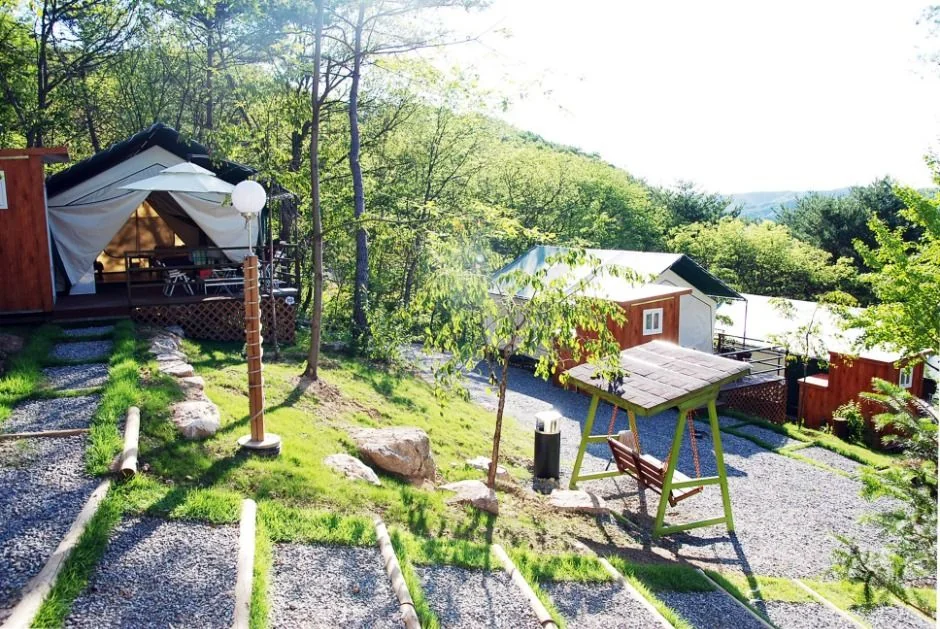 춘천숲자연휴양림엔글램핑 반려동물 동반 여행지