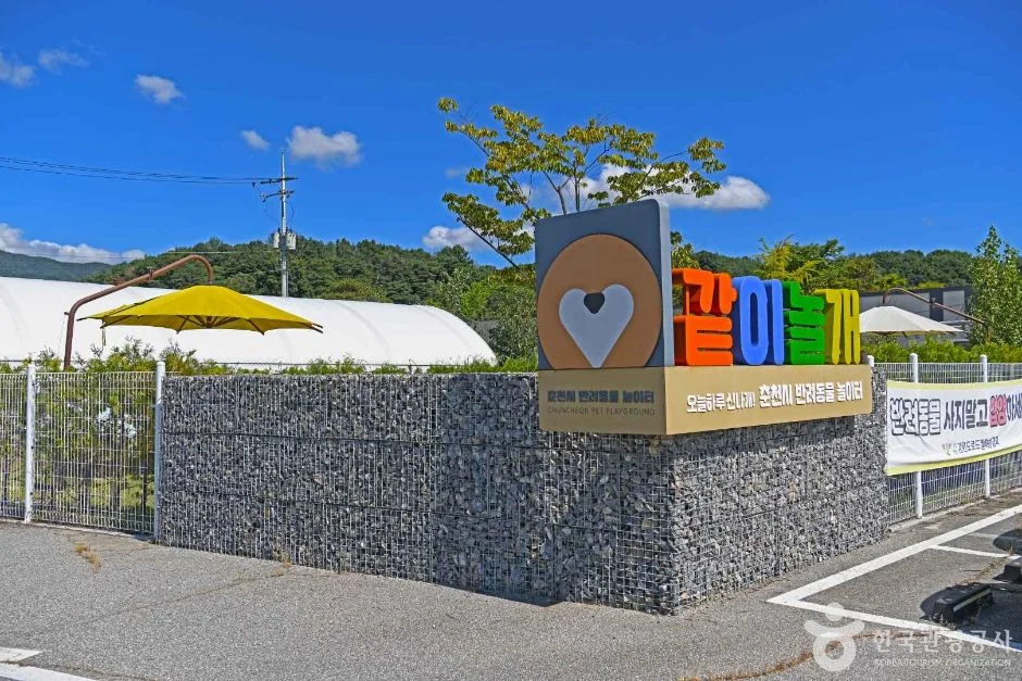 춘천시 반려견놀이터 같이놀개 춘천시 애견여행지