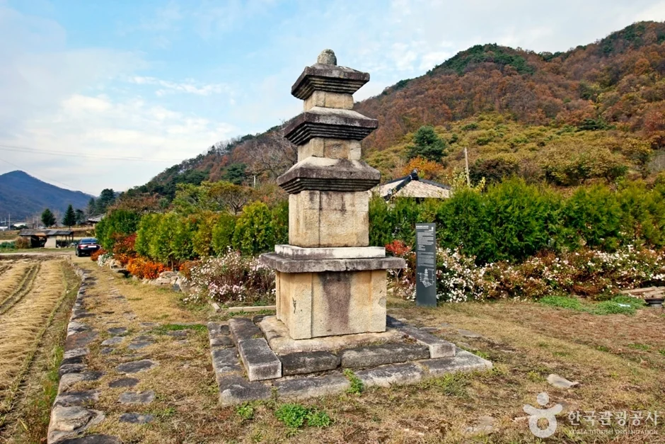충주 추평리 삼층석탑 반려동물 동반 여행지
