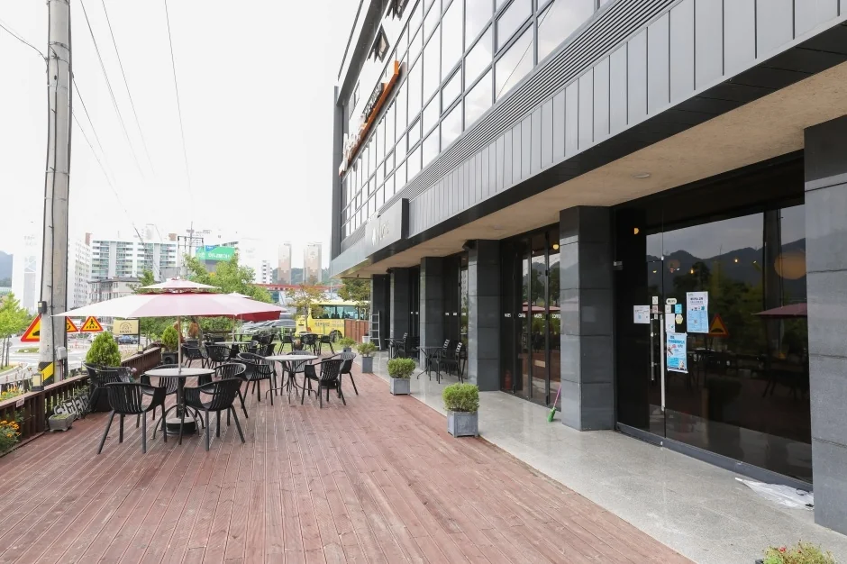 카페뮤지스 영월군 애견카페