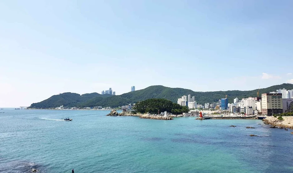 카페윤 반려동물 동반 카페
