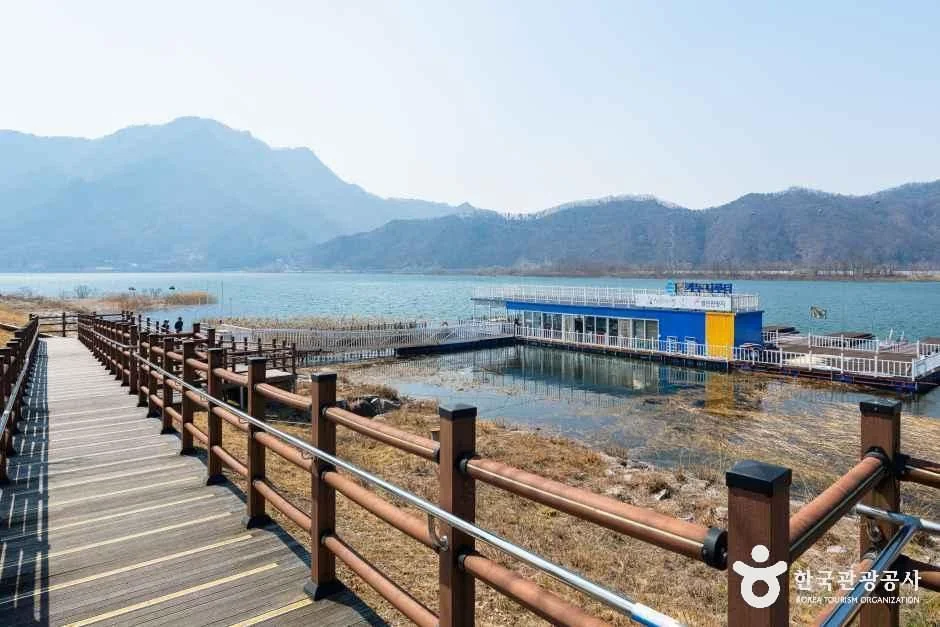 킹카누 나루터 춘천시 애견여행지