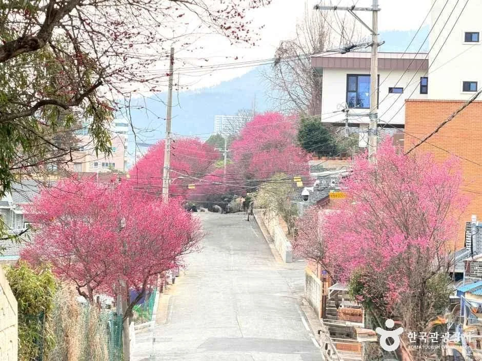 탐매마을 순천시 애견여행지