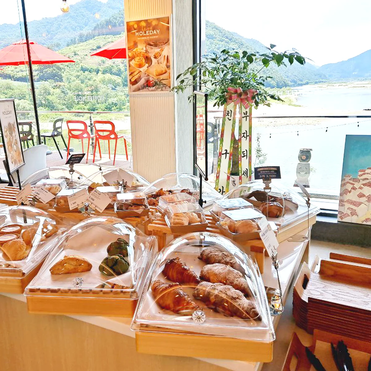 리디아스커피 인제군 애견맛집