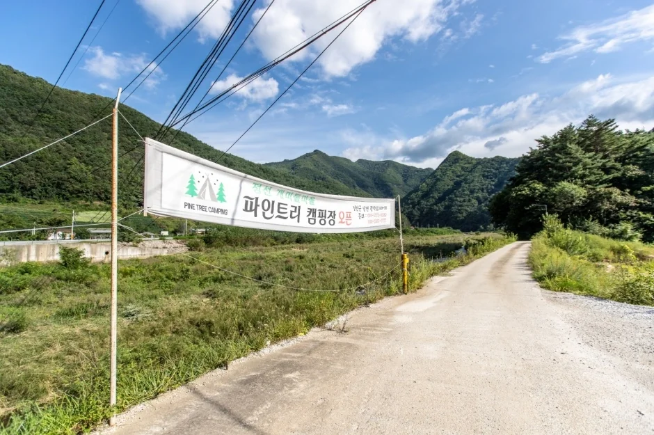 파인트리 캠핑장 반려동물 동반 여행지