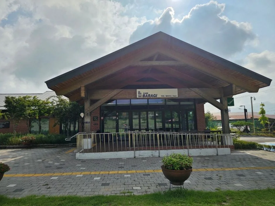 팜바라기 cafe 반려동물 동반 맛집