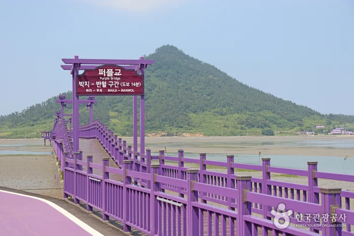 퍼플교 반려동물 동반 여행지