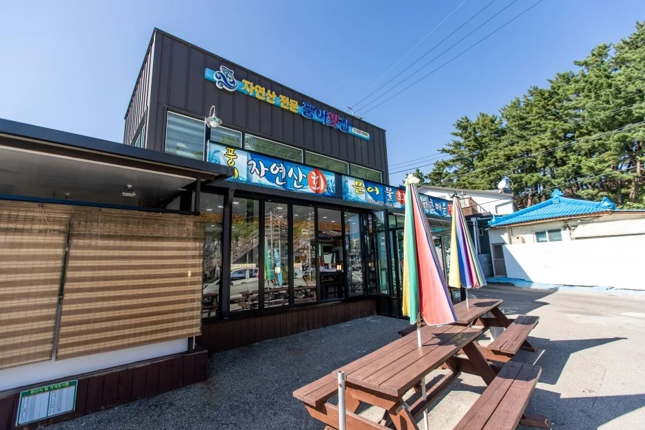 풍어횟집 고성군 애견맛집
