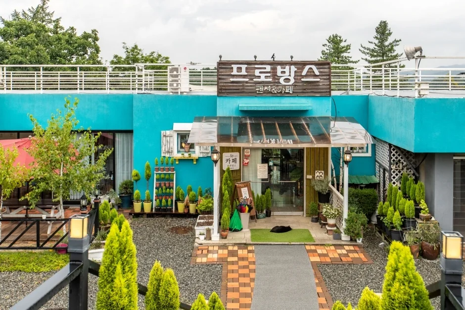 프로방스 카페 철원군 애견카페