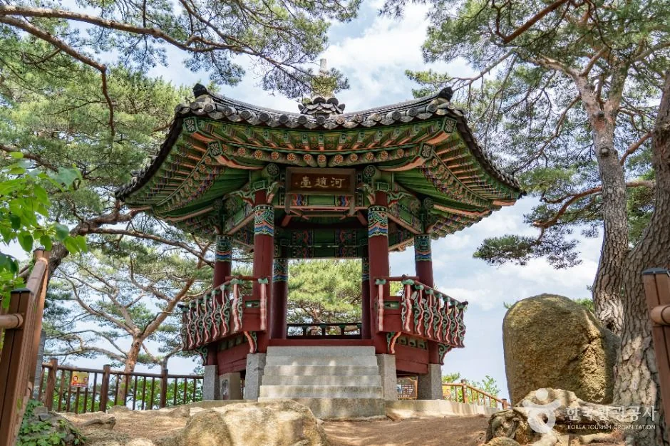 하조대 반려동물 동반 여행지