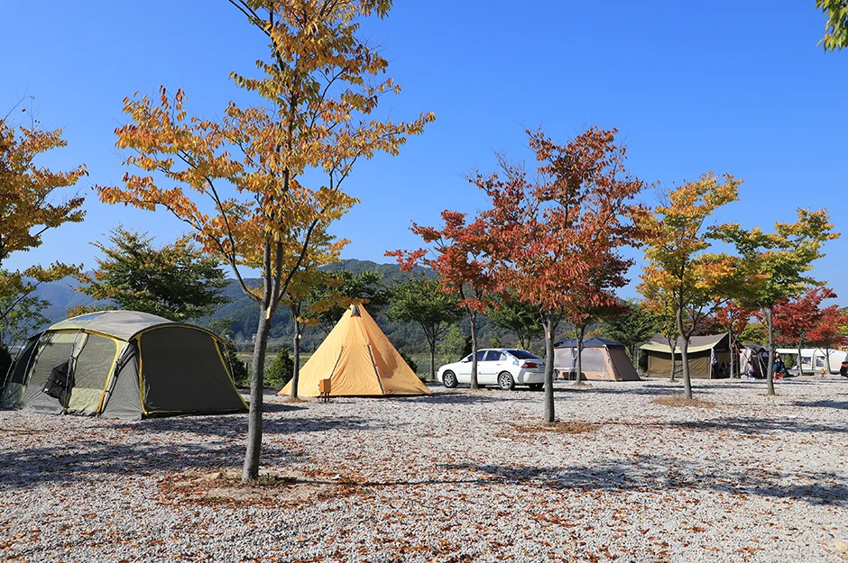 학마을캠프펜션 철원군 애견여행지