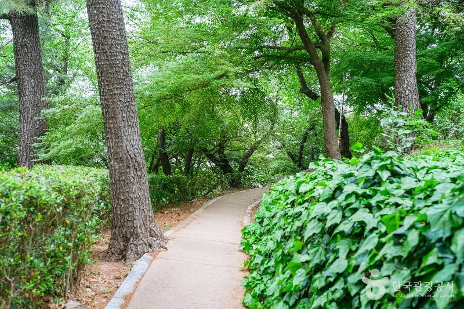 학성공원 중구 애견여행지