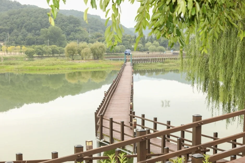 한반도섬 자연습지 반려동물 동반 여행지