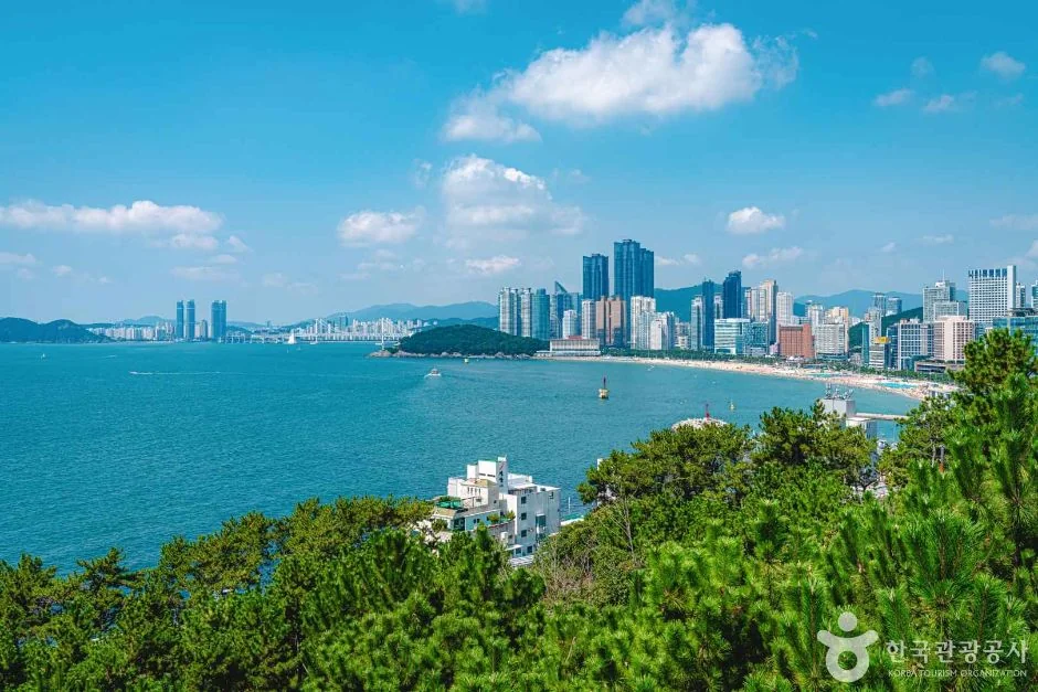 해운대 달맞이길 반려동물 동반 여행지