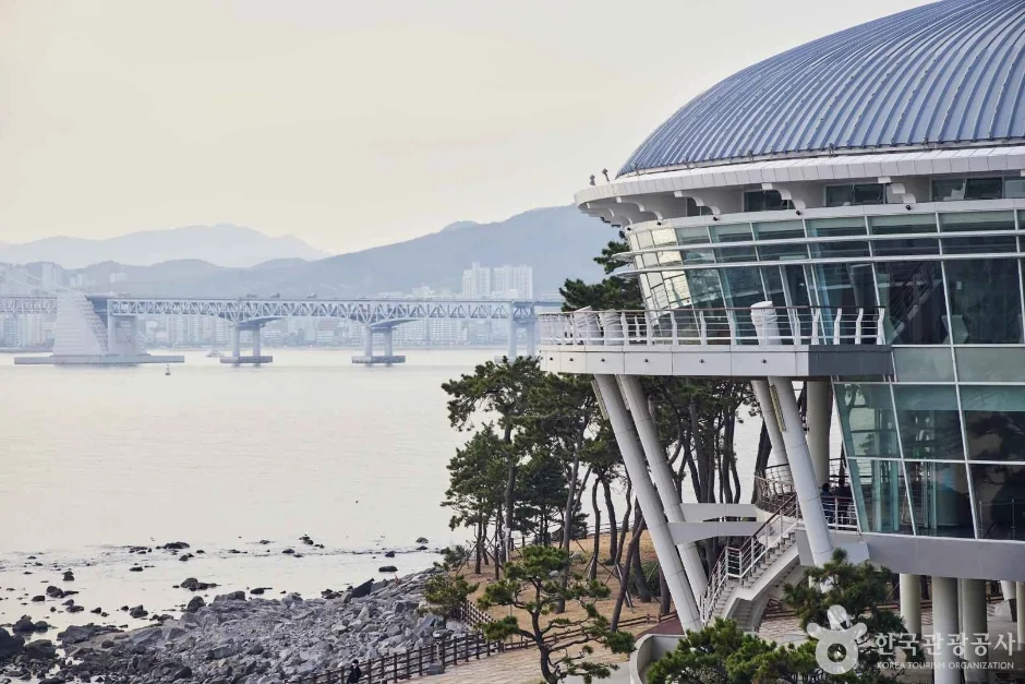 해운대 동백섬 반려동물 동반 여행지