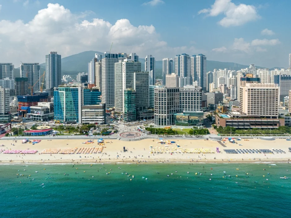 해운대해수욕장 반려동물 동반 여행지