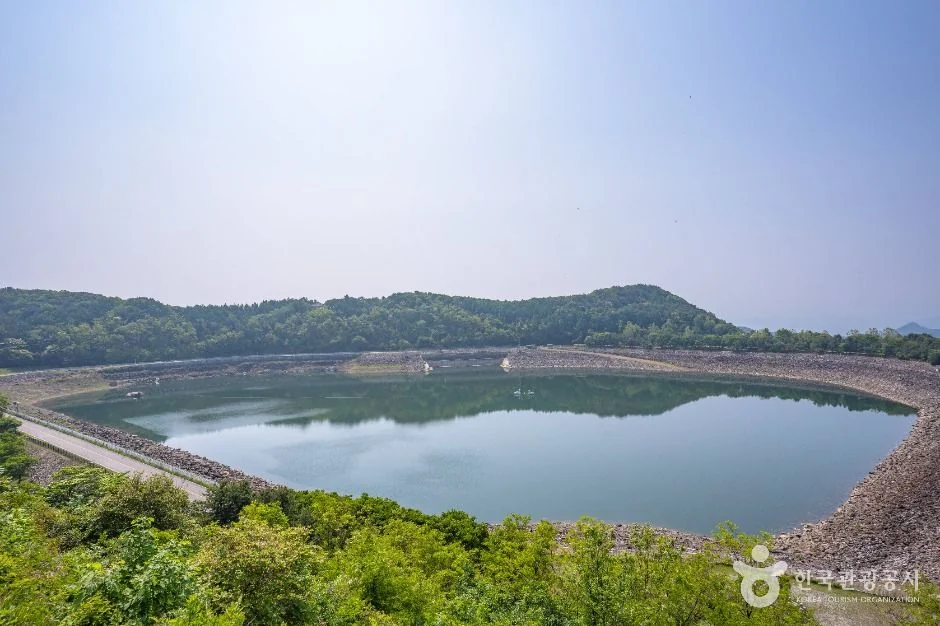 호명호수공원 반려동물 동반 여행지