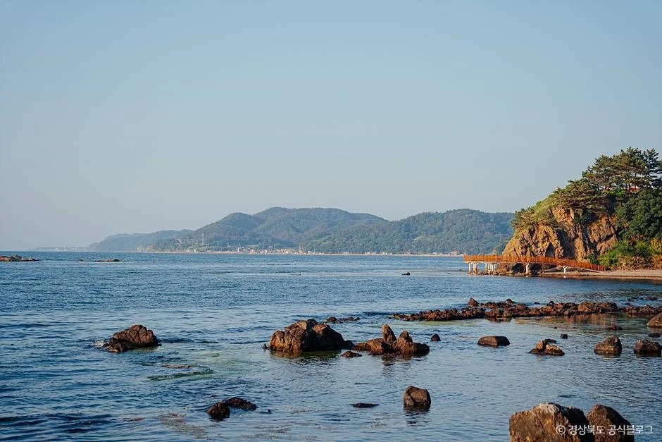 호미반도 해안둘레길 반려동물 동반 여행지
