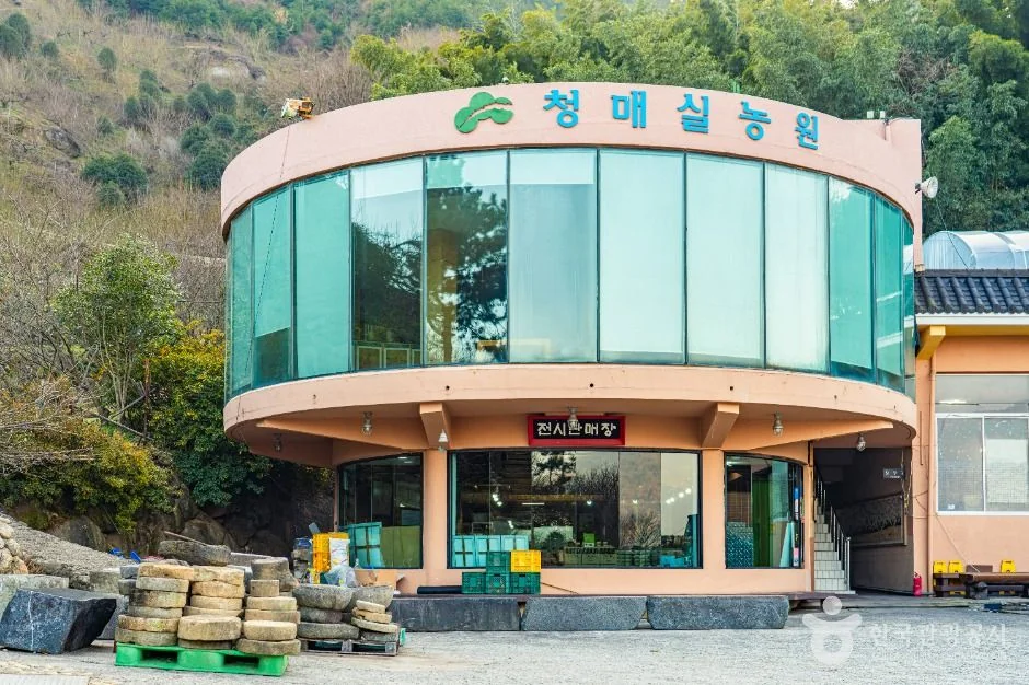 홍쌍리 청매실농원 반려동물 동반 여행지