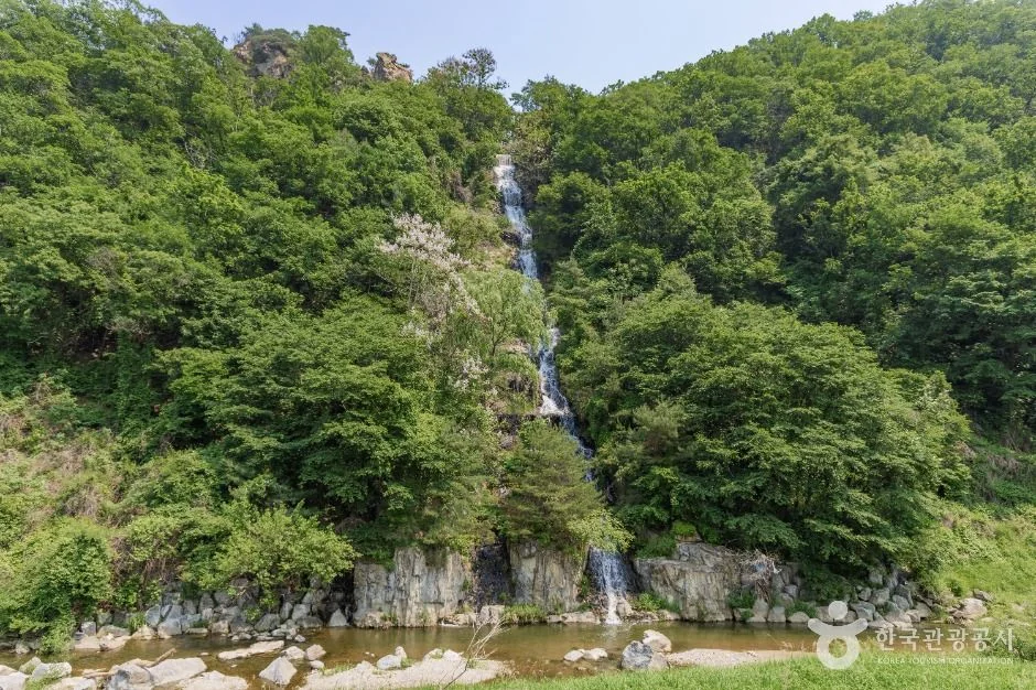 화도푸른물센터 피아노폭포 반려동물 동반 여행지