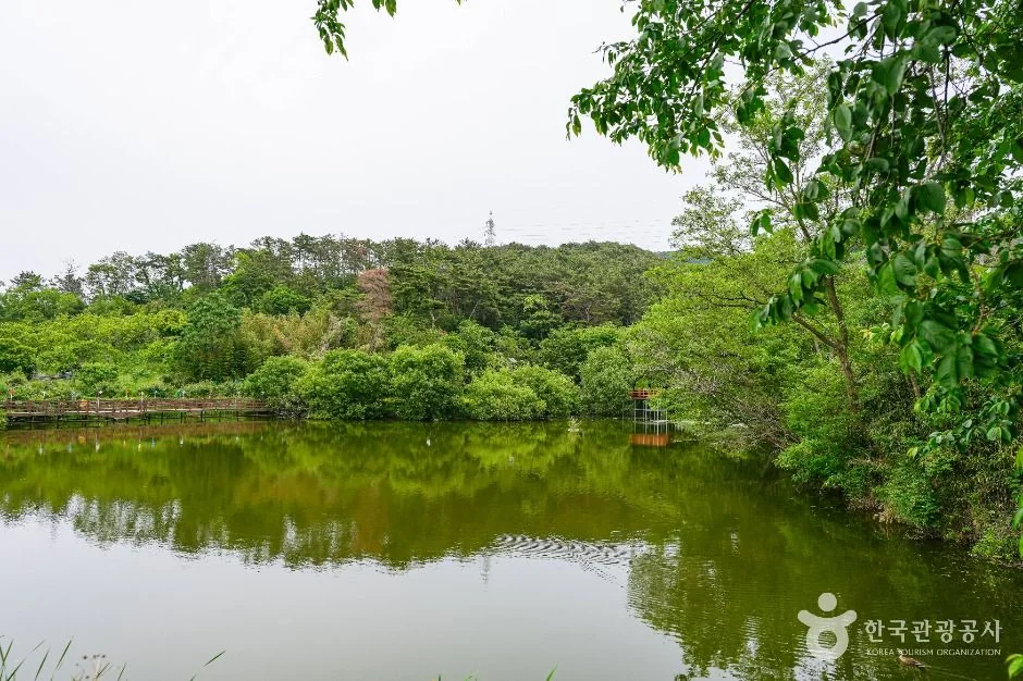 화동못수변공원 반려동물 동반 여행지