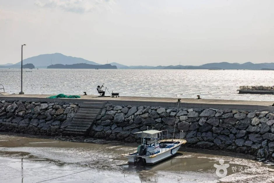 화포해변 반려동물 동반 여행지