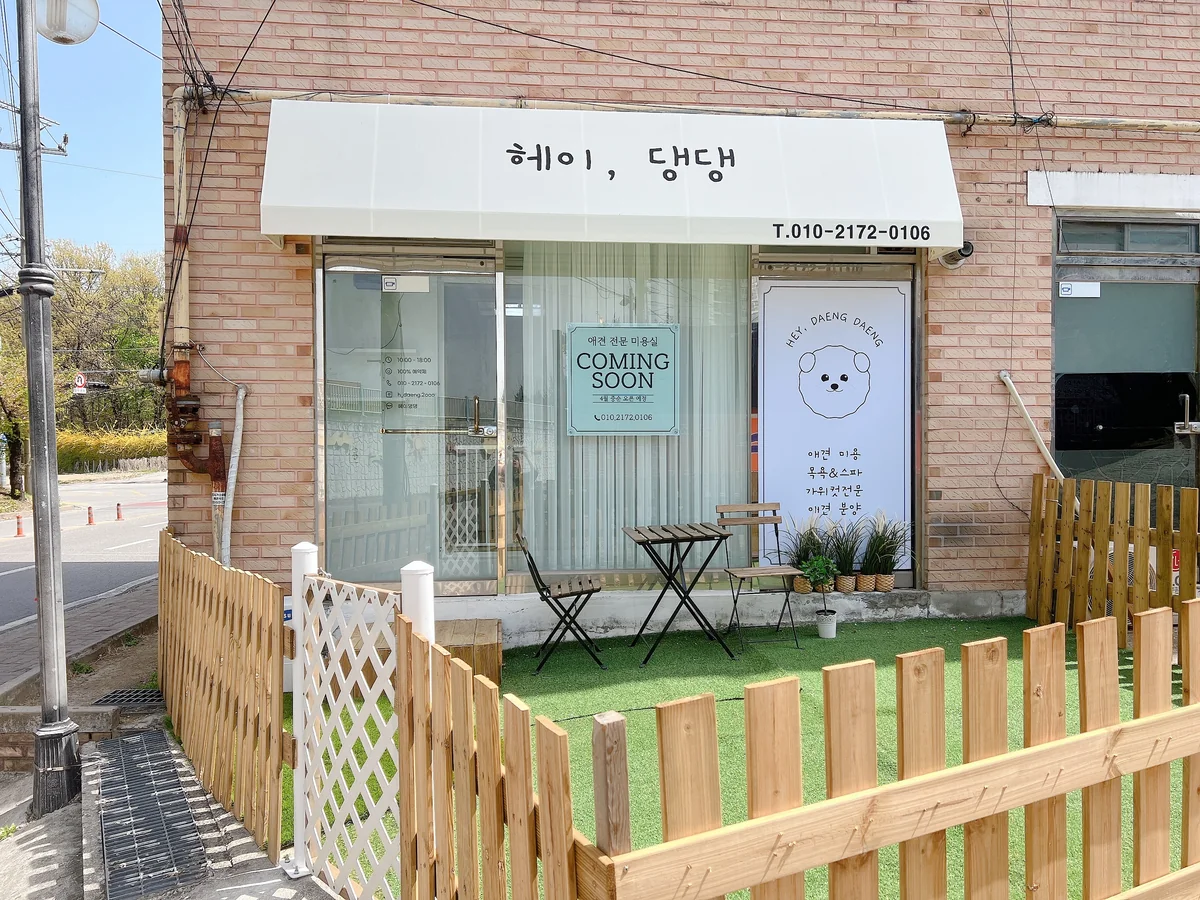헤이댕댕 춘천시 애견카페