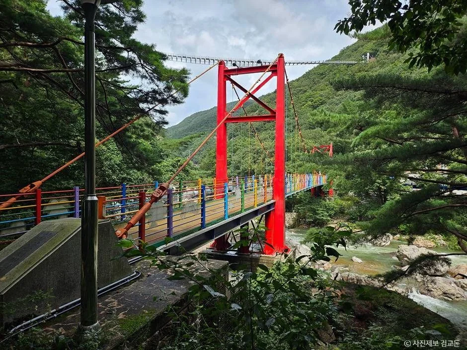 [진안고원길 9구간] 운일암반일암 숲길 진안군 애견여행지