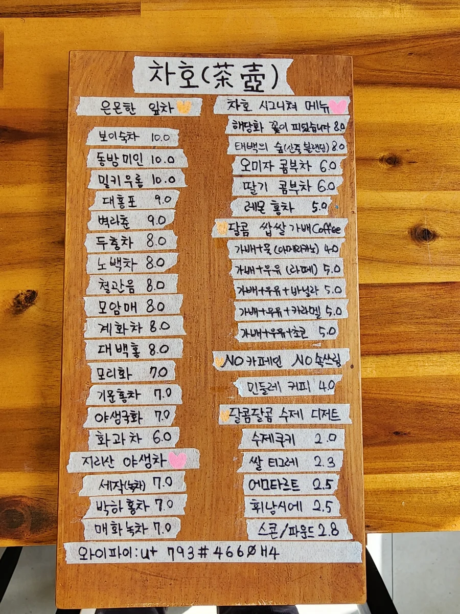 차호 태백시 애견맛집