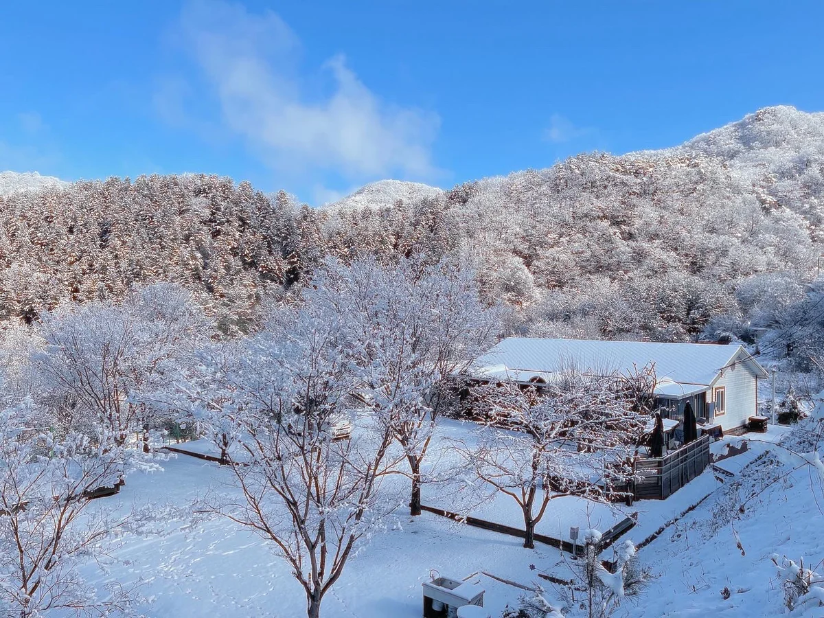 화천휴캠핑장 화천군 애견숙소
