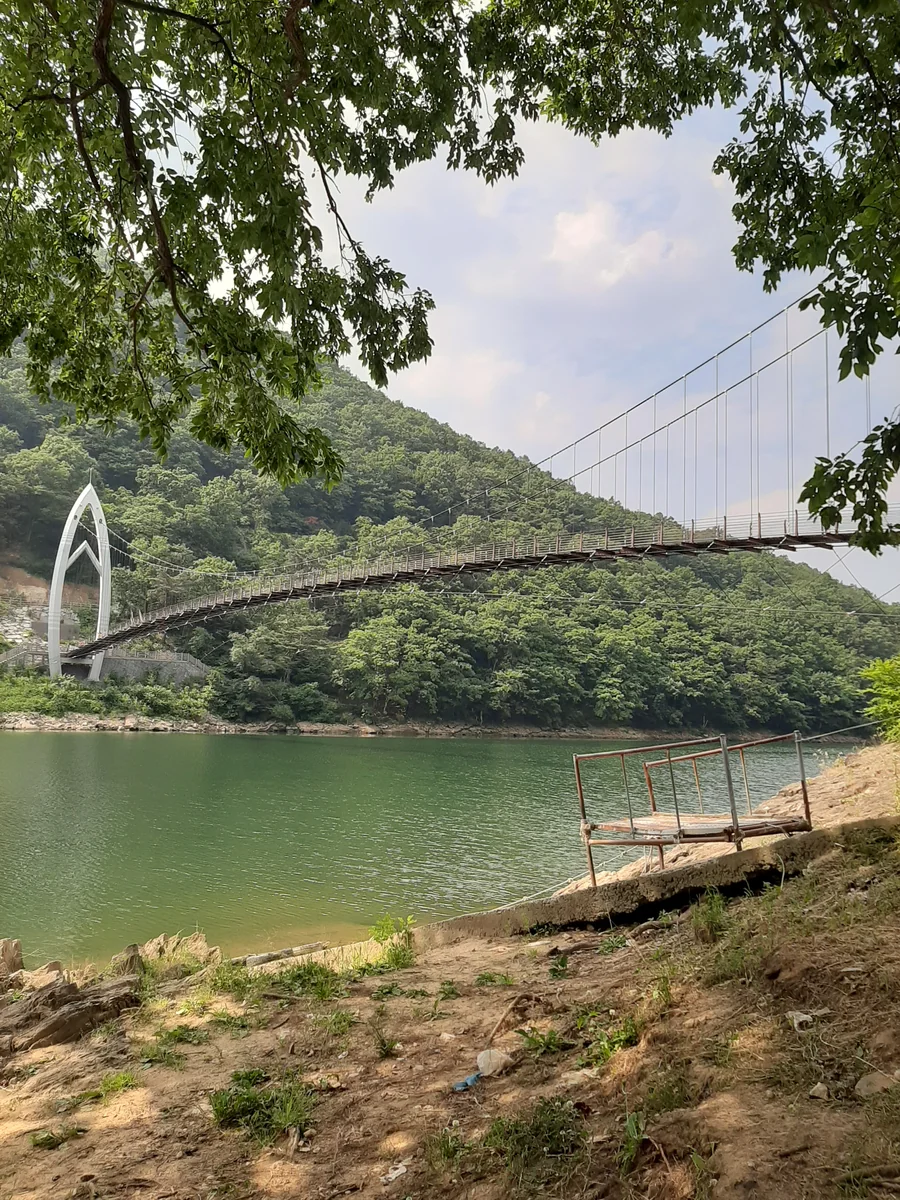 별빛산막이스테이펜션 괴산군 애견숙소
