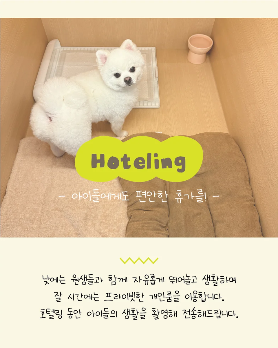 개스트하우스 청주점 청주시 애견카페