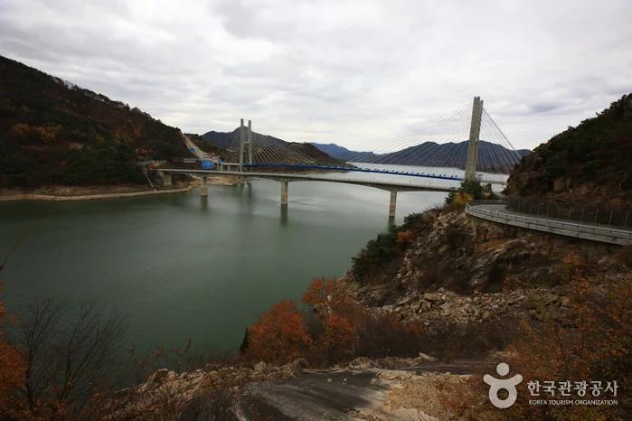 캠프202 충주시 애견숙소