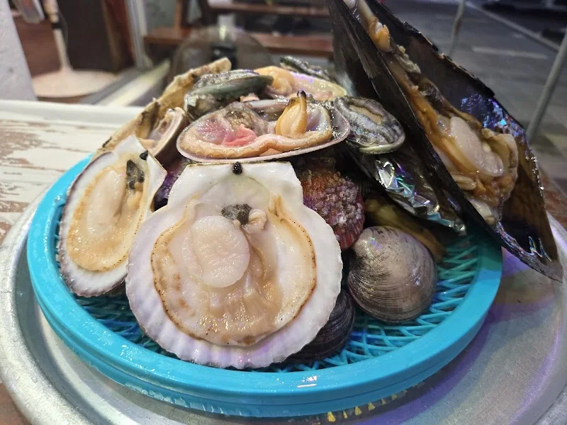해리's 샵 당진시 애견카페