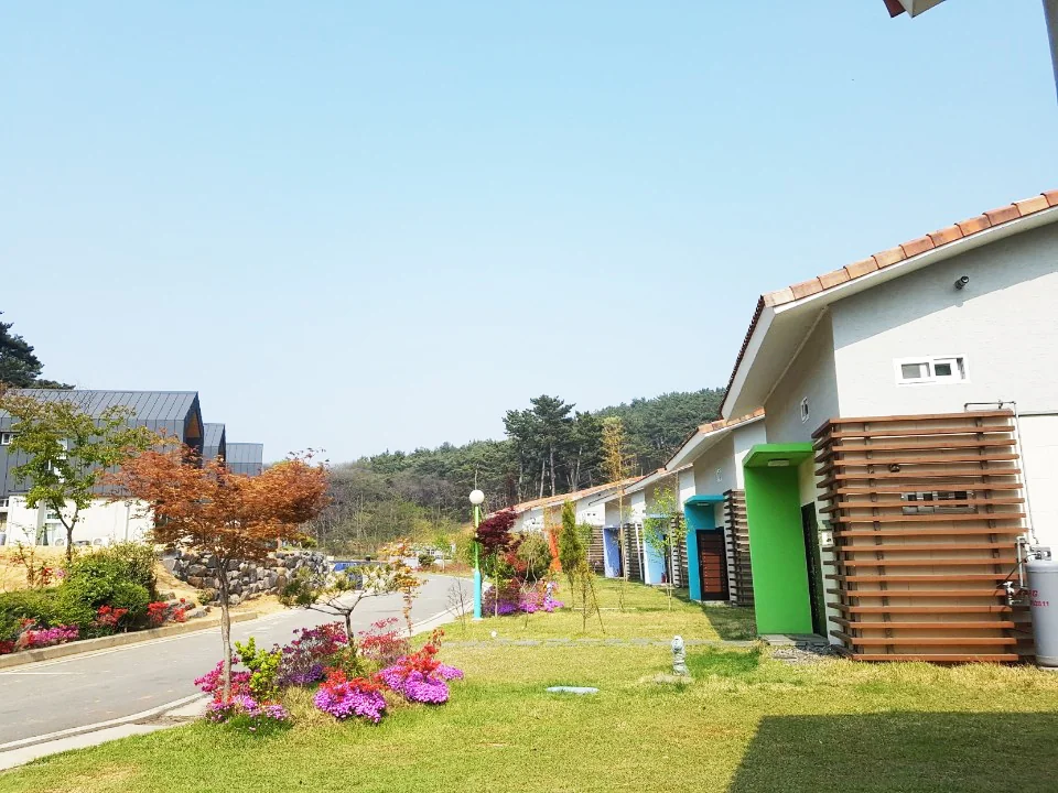 바로빌리지 보령시 애견숙소