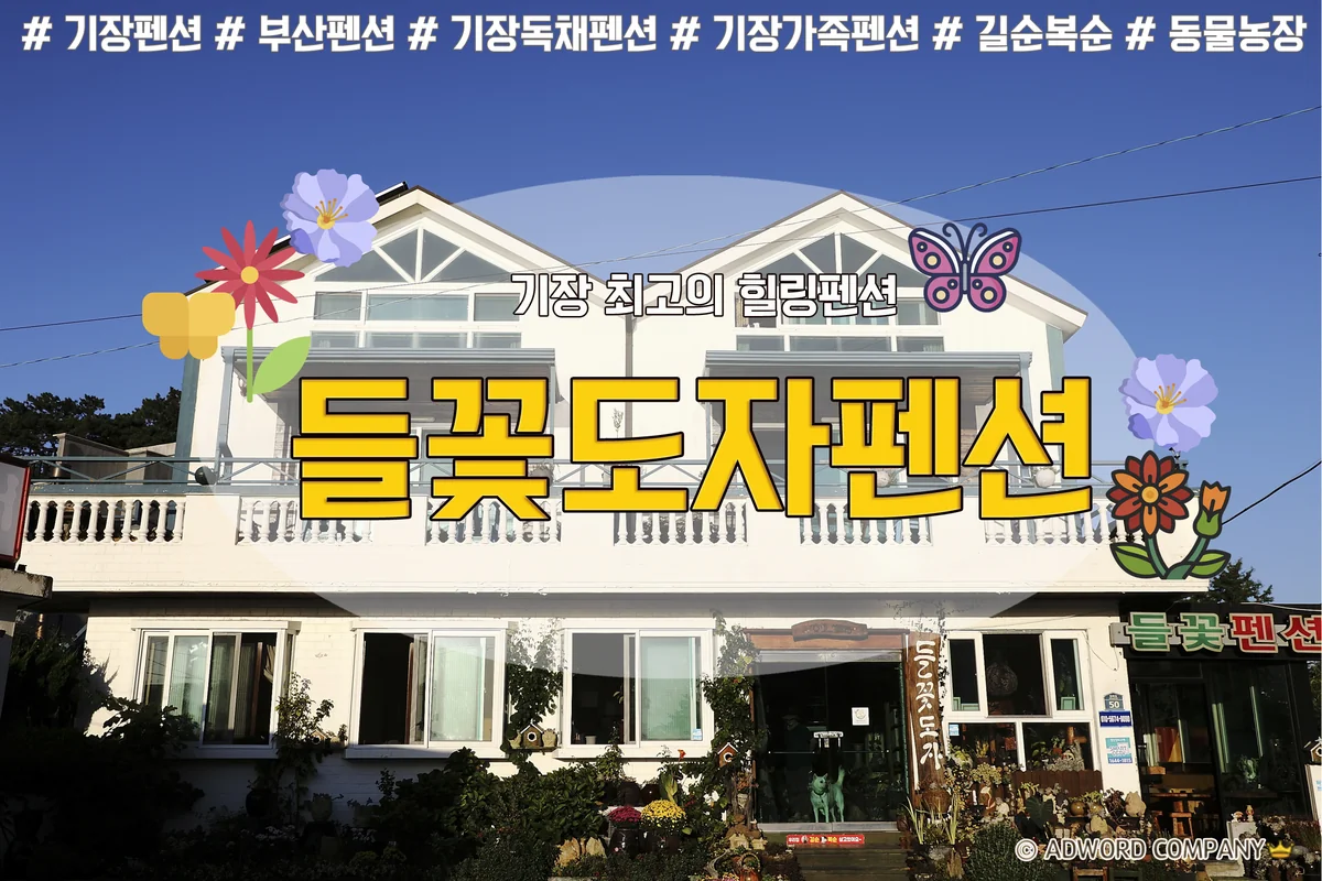 들꽃 부여군 애견숙소