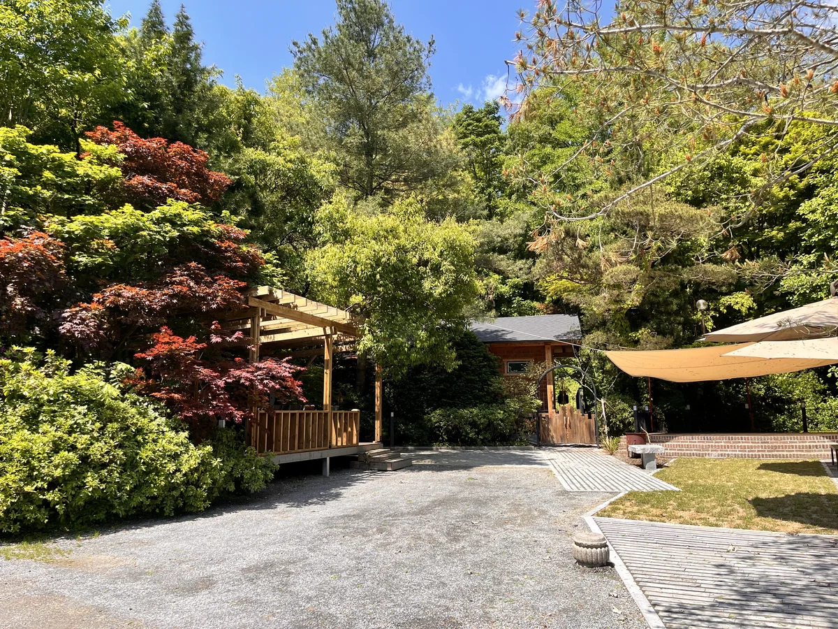 쉼표공원카페 예산군 애견카페