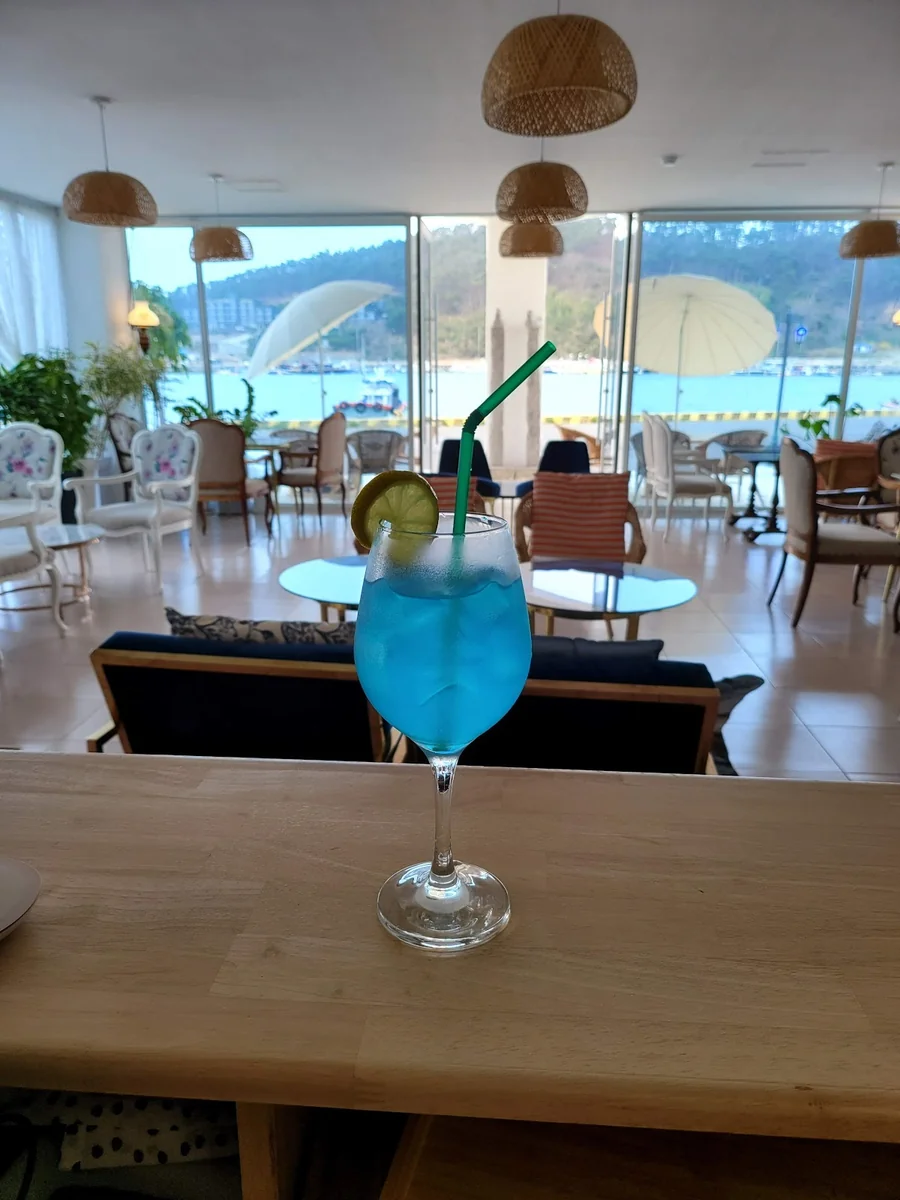 마리나타운 태안군 애견카페