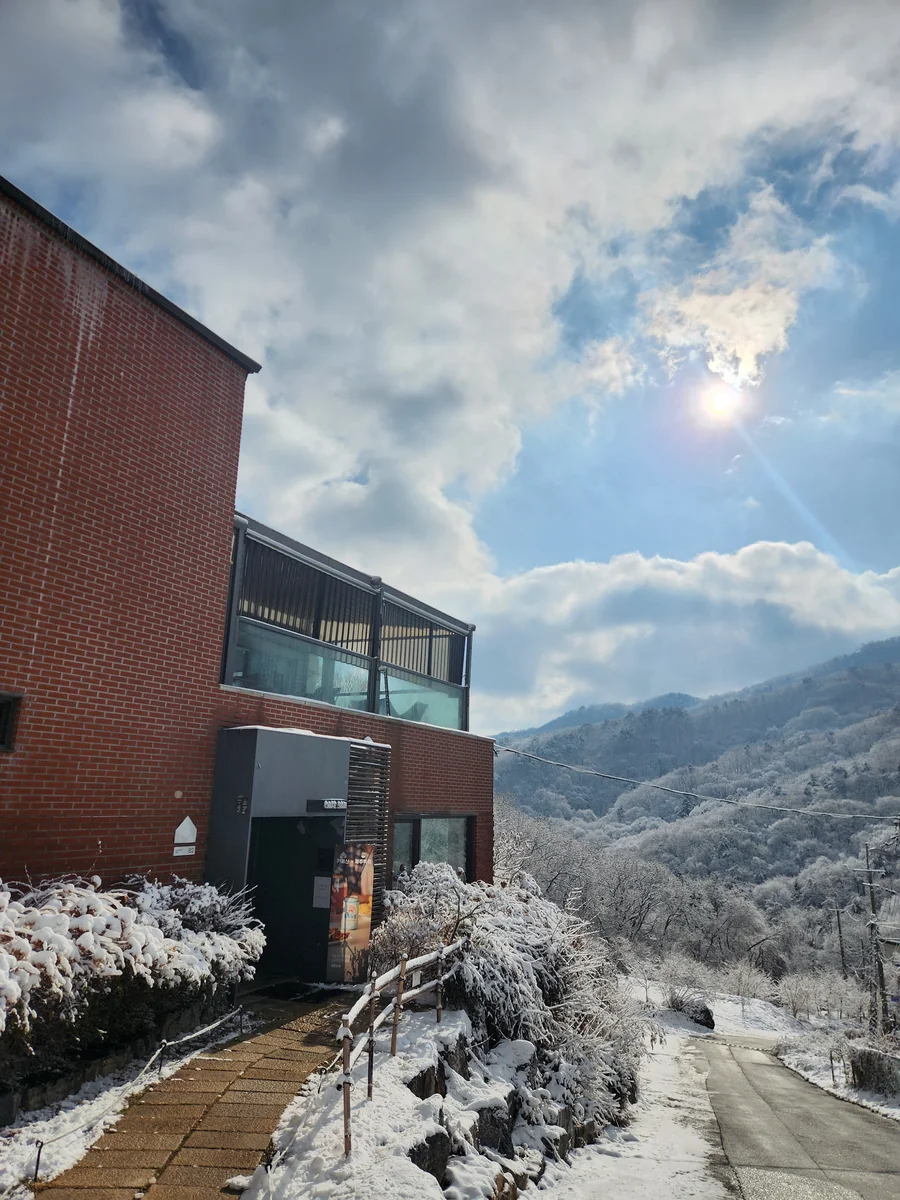 미제리 군산시 애견카페